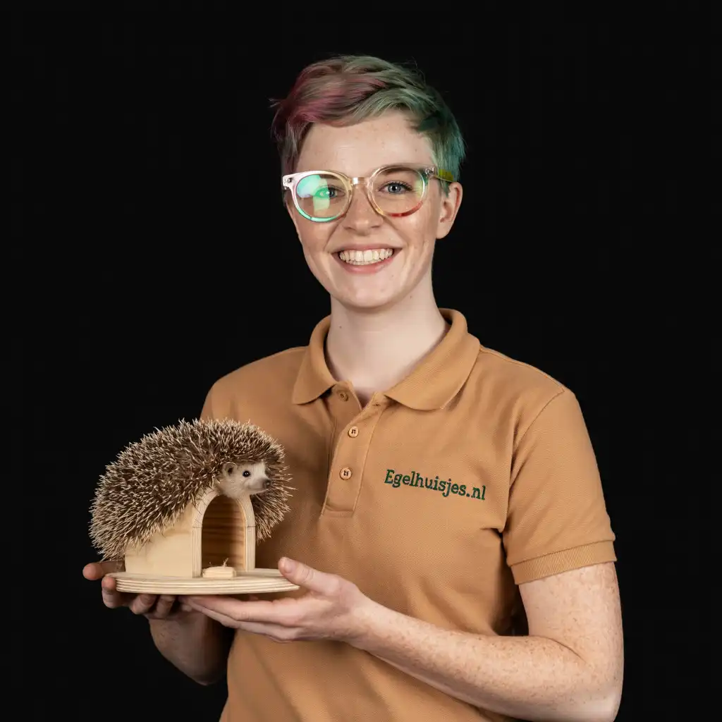 Content image